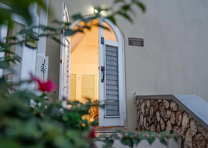 Hummingbird Retreat - Luxury Oceanview Apt, 7-Minute Walk To Beach