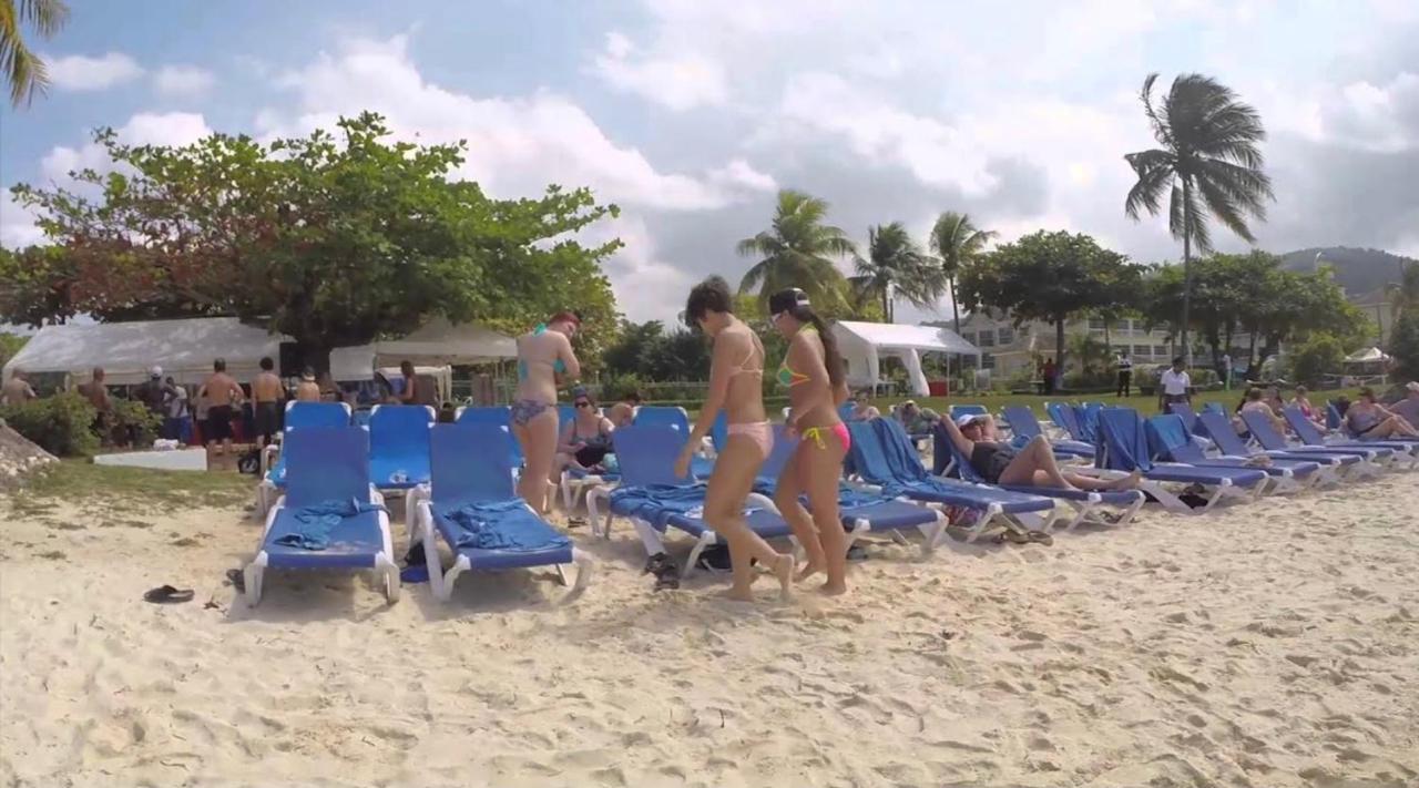 Hummingbird Retreat - Luxury Oceanview Apt, 7-minute Walk To Apartamento Ocho Rios